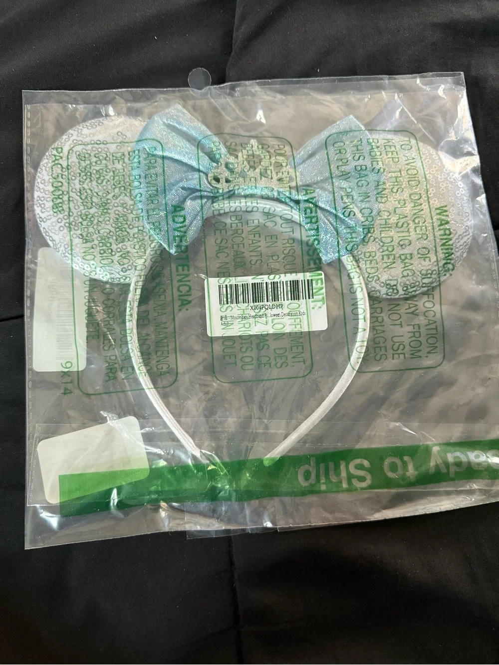 Cinderella Mickey Ears